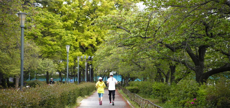 「徳島県」の小松海岸緑地ドッグランで年額30万円以上で募集中!(2019年4月26日〆切)