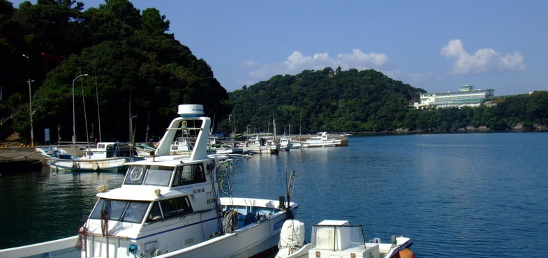 神奈川県の「宮ケ瀬湖カヌー場」について、ネーミングライツパートナーを年額50万円以上で募集中!(2020年1月16日(木)〆切)
